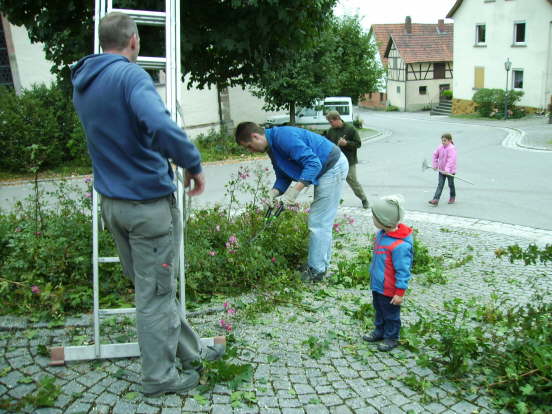 Baumpflege08 (07)