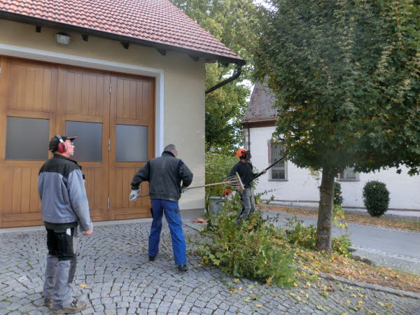 Dorfpflege 2016 (04)