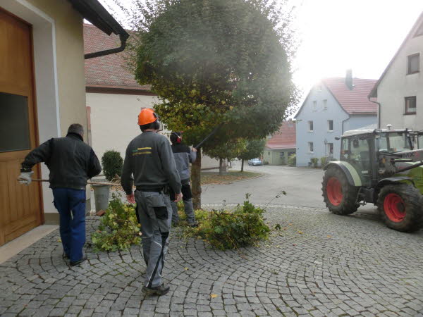 Dorfpflege 2016 (06)