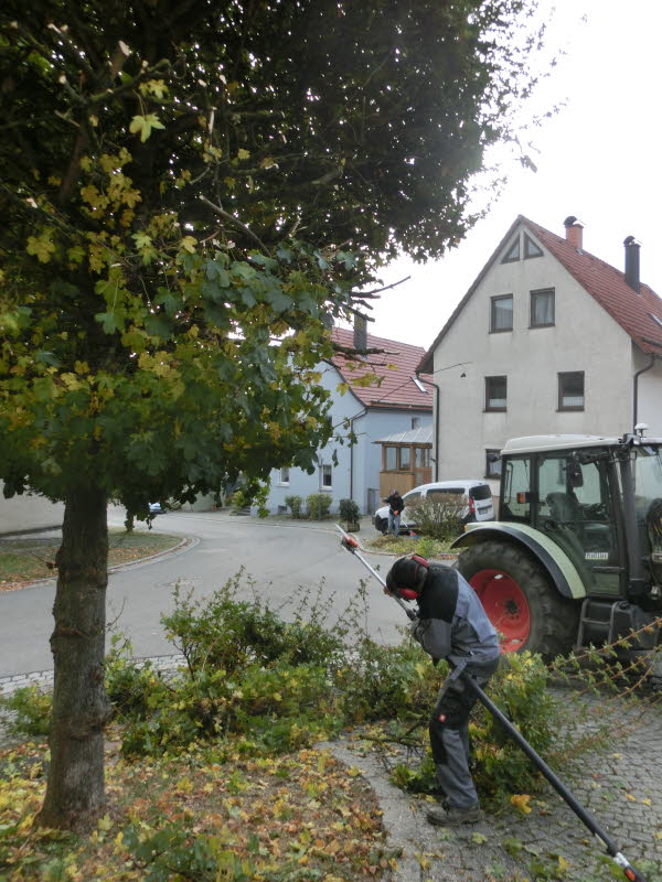 Dorfpflege 2016 (08)