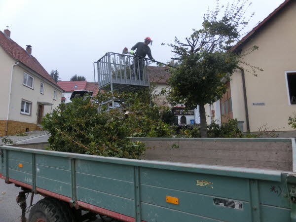 Dorfpflege 2016 (12)
