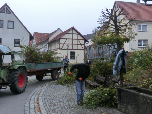 Dorfpflege 2016 (18)