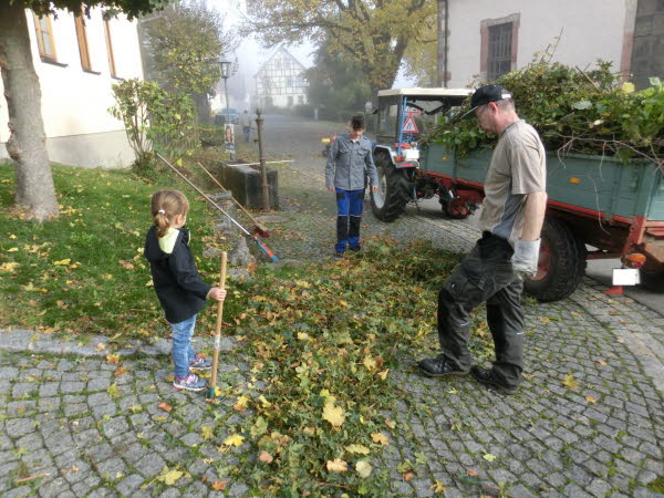 Dorfpflege 2017 (15)