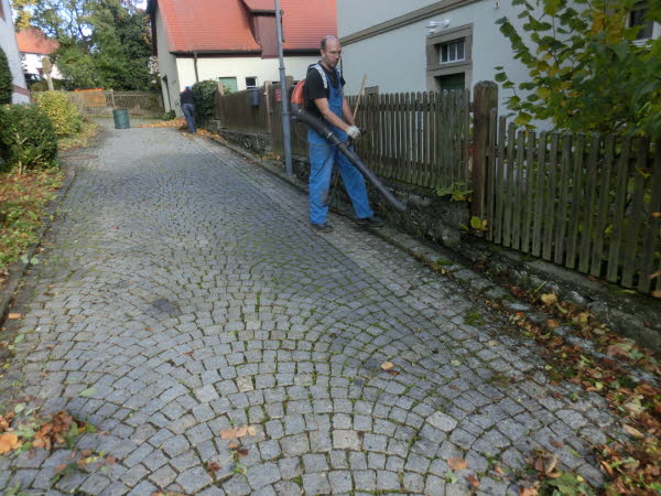 Dorfpflege 2017 (22)