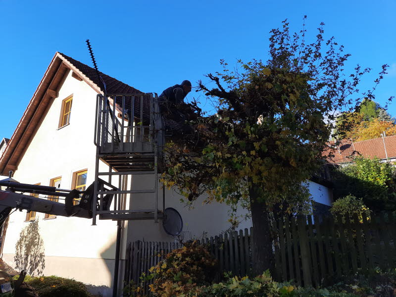 Dorfpflege 2025 (105)