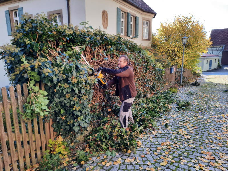 Dorfpflege 2025 (115)