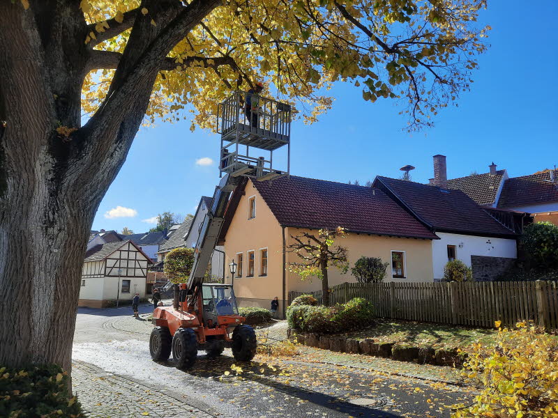 Dorfpflege 2025 (139)