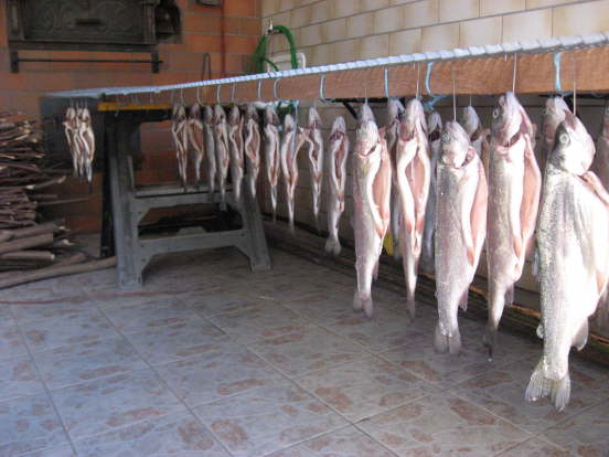 Forellenessen_2009 (01)