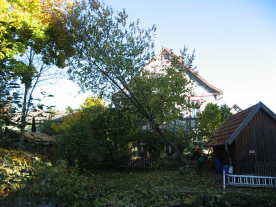 Ortspflege_2010 (09)