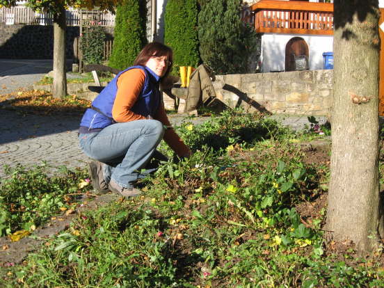 Ortspflege_2010 (16)